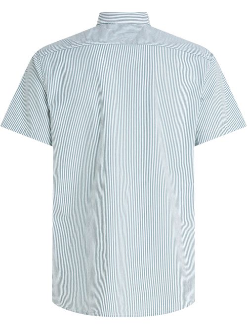 Camisa-de-rayas-de-corte-regular